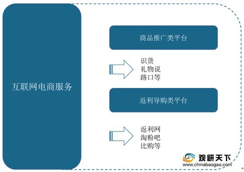 2021年中国互联网电商服务市场调研报告 行业运营现状与发展前景研究